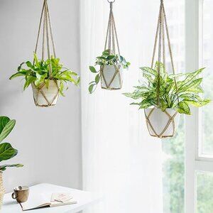 Macrame plant hanger set of 3 with hooks